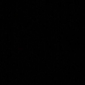 Meet your Posher, Tanner